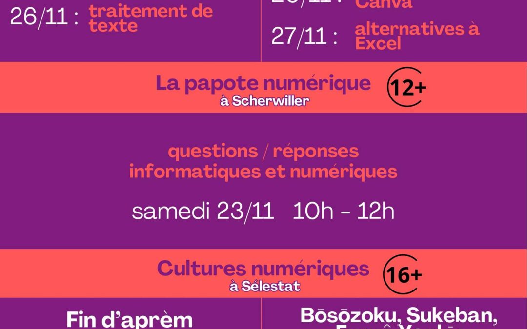 CONSEILLER NUMERIQUE