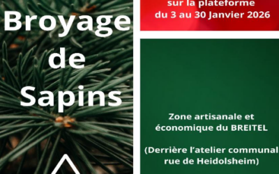 Broyage de sapins a mussig