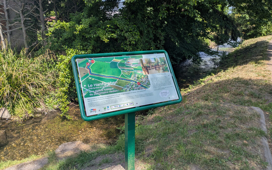 Mercredi 15 avril à 14h, rendez-vous sur le sentier du Hanfgraben ! 🌿