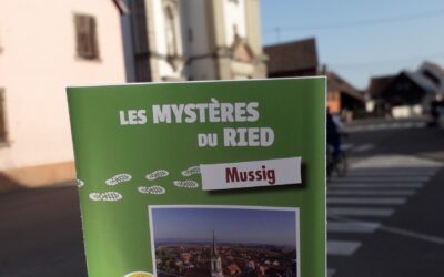 C’est les vacances… et si vous partiez à la découverte du Ried en famille ? 🌿👨‍👩‍👧‍👦