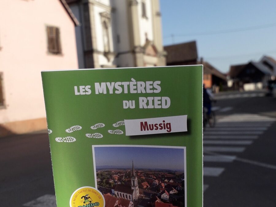 C’est les vacances… et si vous partiez à la découverte du Ried en famille ? 🌿👨‍👩‍👧‍👦