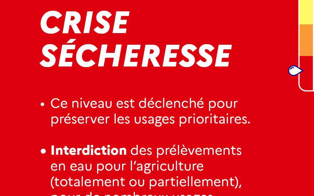 🔴 Crise sécheresse à Mussig