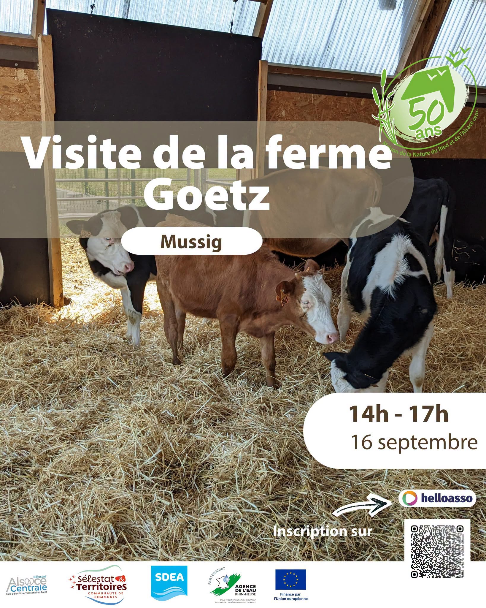 🐄 À la découverte de la ferme Goetz à Mussig !